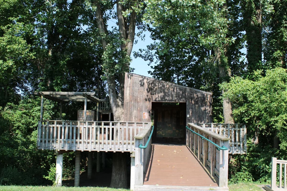 BookNoFees sample image: Wooden treehouse nestled among tree trunks with a wooden walkway and a green garden