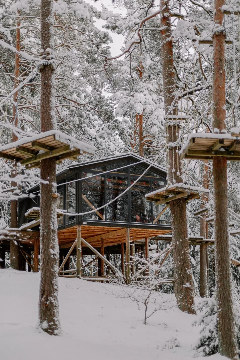 BookNoFees sample image: Glass-walled treehouse cabin in a snow-covered forest