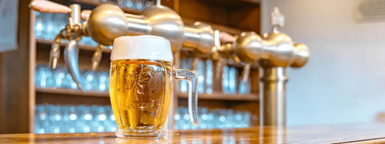 BookNoFees: Restaurant – Kozel u Bohemky – Prague – Kozel la Bohemka, fotografie 1