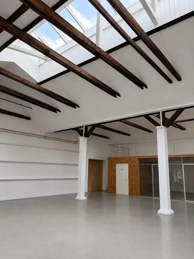 BookNoFees: Brutărie – Flere Fugle – Copenhagen – Mai multe păsări, fotografie 2