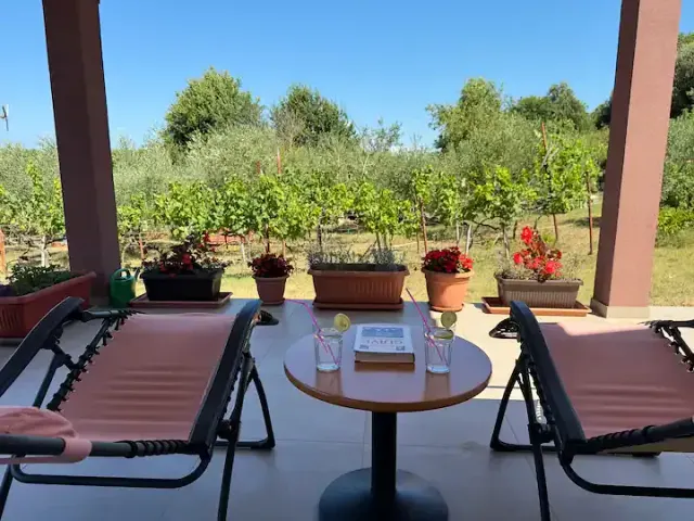 BookNoFees: Căsuța drăguță „Alisa”, situată într-o zonă liniștită, centrală și nouă – Vinkuran