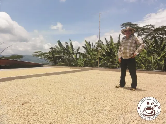 BookNoFees: Cafenea – Coffee Star Origins & Blends – Berlin – Coffee Star: Origini și amestecuri, fotografie 2