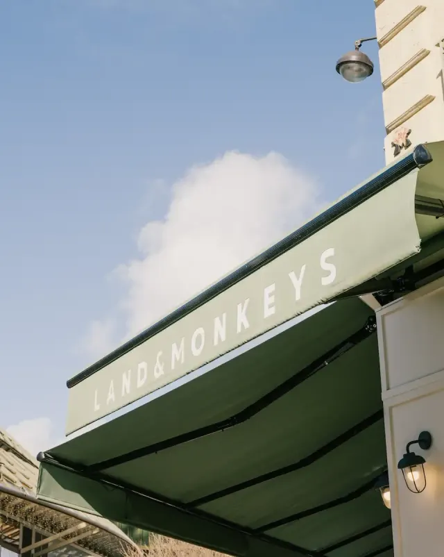 BookNoFees: Brutărie – Land & Monkeys – Paris – Pământ și maimuțe, fotografie 2