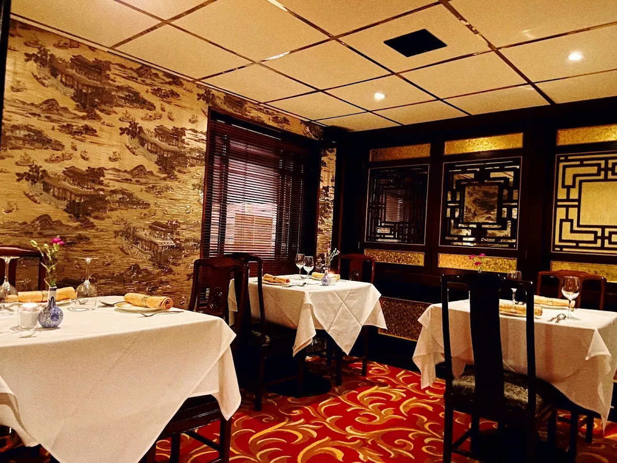 BookNoFees: Restaurant – Yang's – Dublin – Yang's, fotografie 1