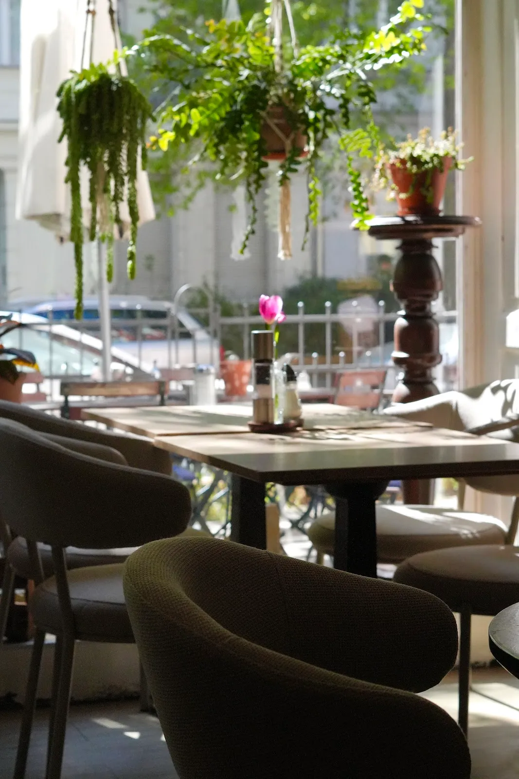 BookNoFees: Cafenea – Café Behring – Berlin – Cafeneaua Behring, fotografie 1