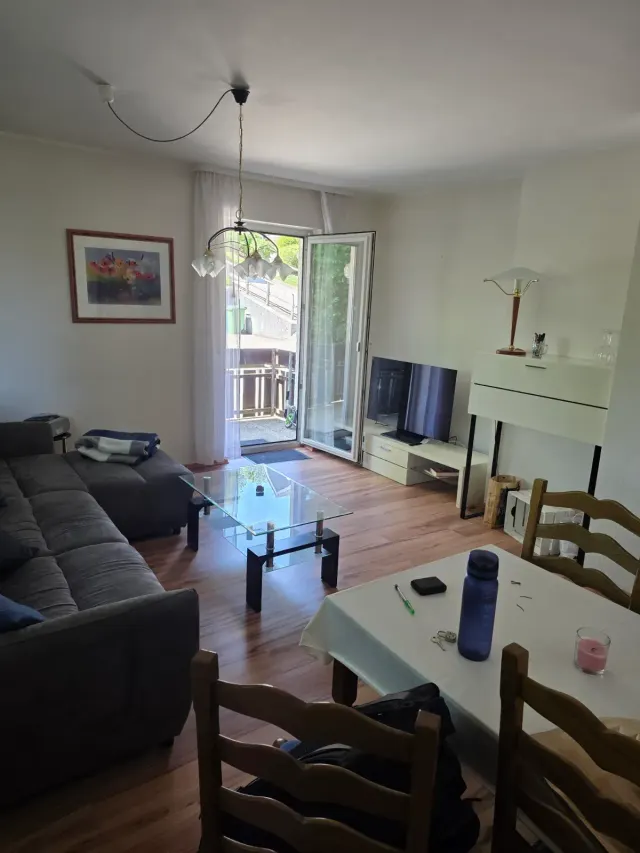 BookNoFees: Apartament liniștit, înconjurat de natură, cu balcon și parcare gratuită – Willingen