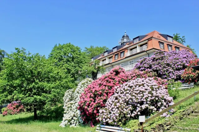 BookNoFees: Apartament de vacanță „Natură și Artă”, Dresda, Elveția Saxonă – Dresden