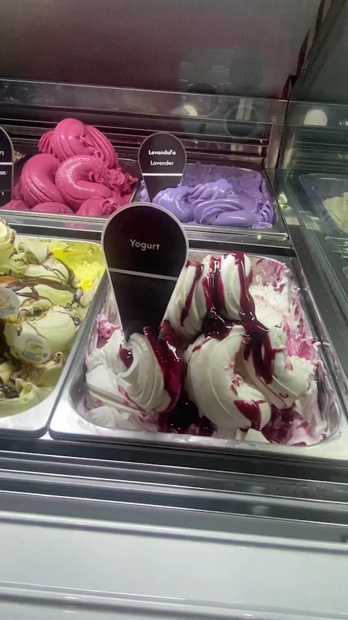BookNoFees: Înghețată – Andersen Ice Cream – Bratislava – Înghețata Andersen, fotografie 3