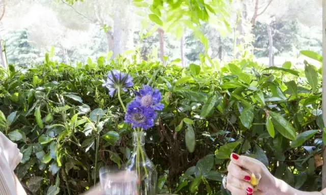 BookNoFees: Cafenea – Vivi Villa Pamphilij – Rome – Vivi Villa Pamphilij, fotografie 2