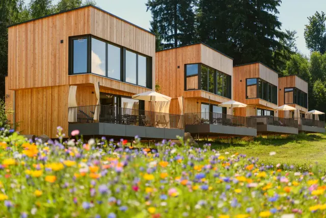 BookNoFees: Cabane liniștite în pădure – Bodenmais