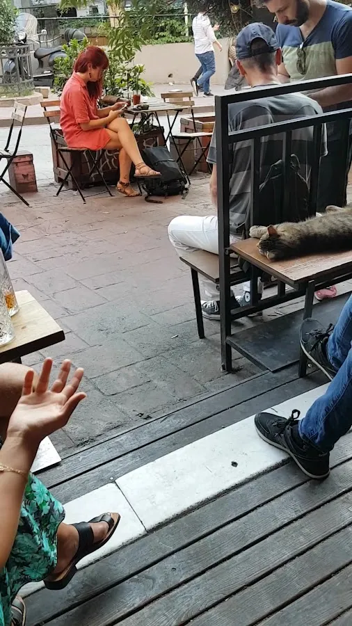 BookNoFees: Cafenea – Swedish Coffee Point – Istanbul – Cafeneaua suedeză „Coffee Point”, fotografie 3
