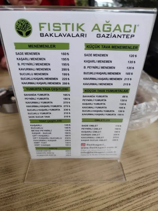 BookNoFees: Cafenea – Fıstık Ağacı – Istanbul – Arborele de fistic, fotografie 2