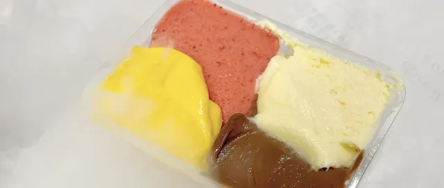 BookNoFees: Înghețată – Gelateria Fassi – Rome – Gelateria Fassi, fotografie 3