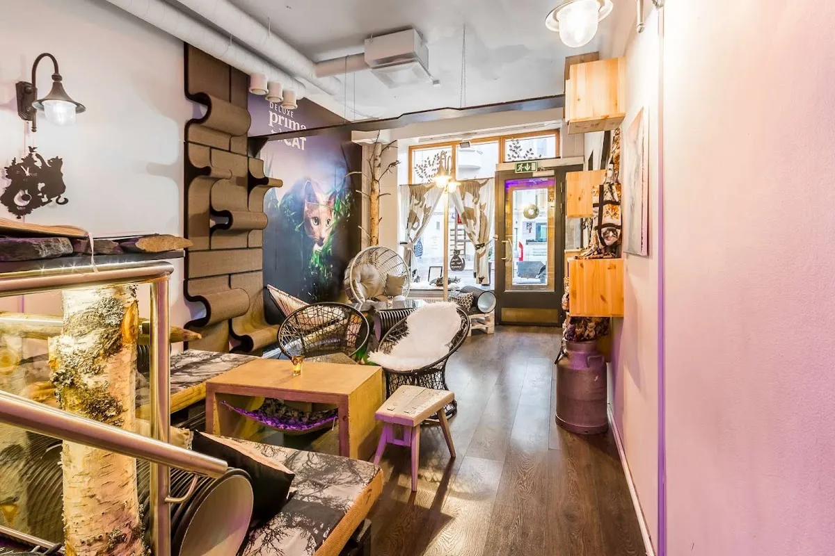 BookNoFees: Cafenea – Kissakahvila Helkatti – Helsinki – Cafeneaua cu pisici Helkatti, fotografie 1