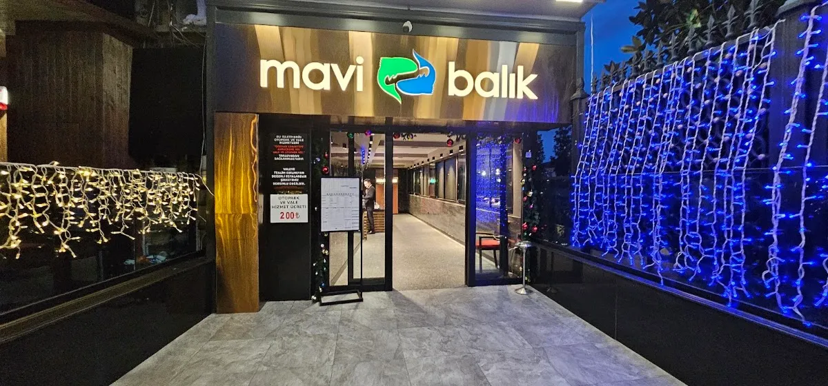 BookNoFees: Restaurant – Mavi Balık – Istanbul – Peștele Albastru, fotografie 1