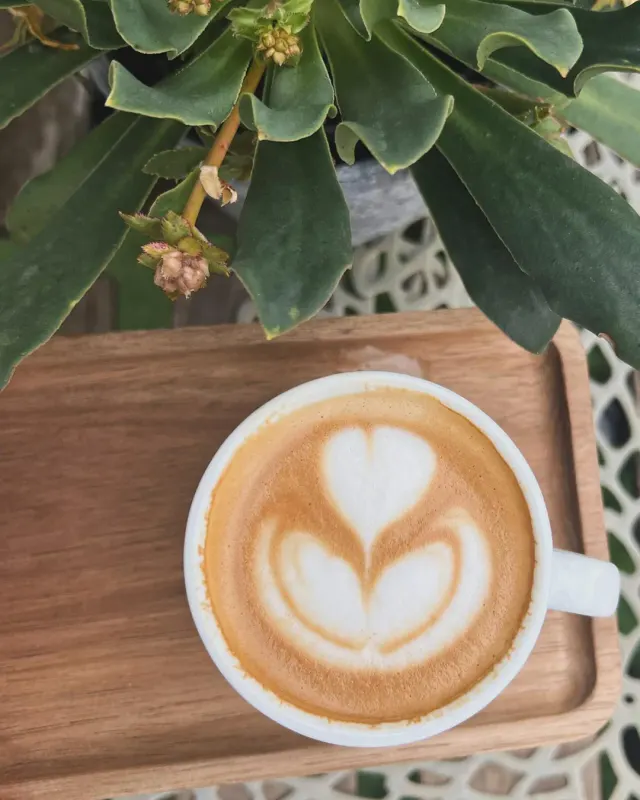 BookNoFees: Cafenea – Cafe Kachel – Vienna – Cafe Kachel, fotografie 2