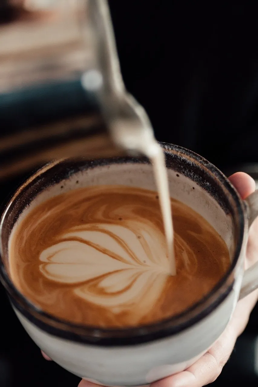 BookNoFees: Cafenea – Cafe Fusion – Copenhagen – Cafe Fusion, fotografie 1
