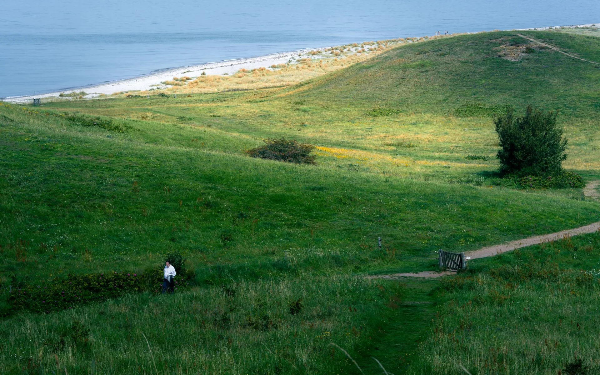 Dealuri verzi și coastă pe insula daneză Samsø